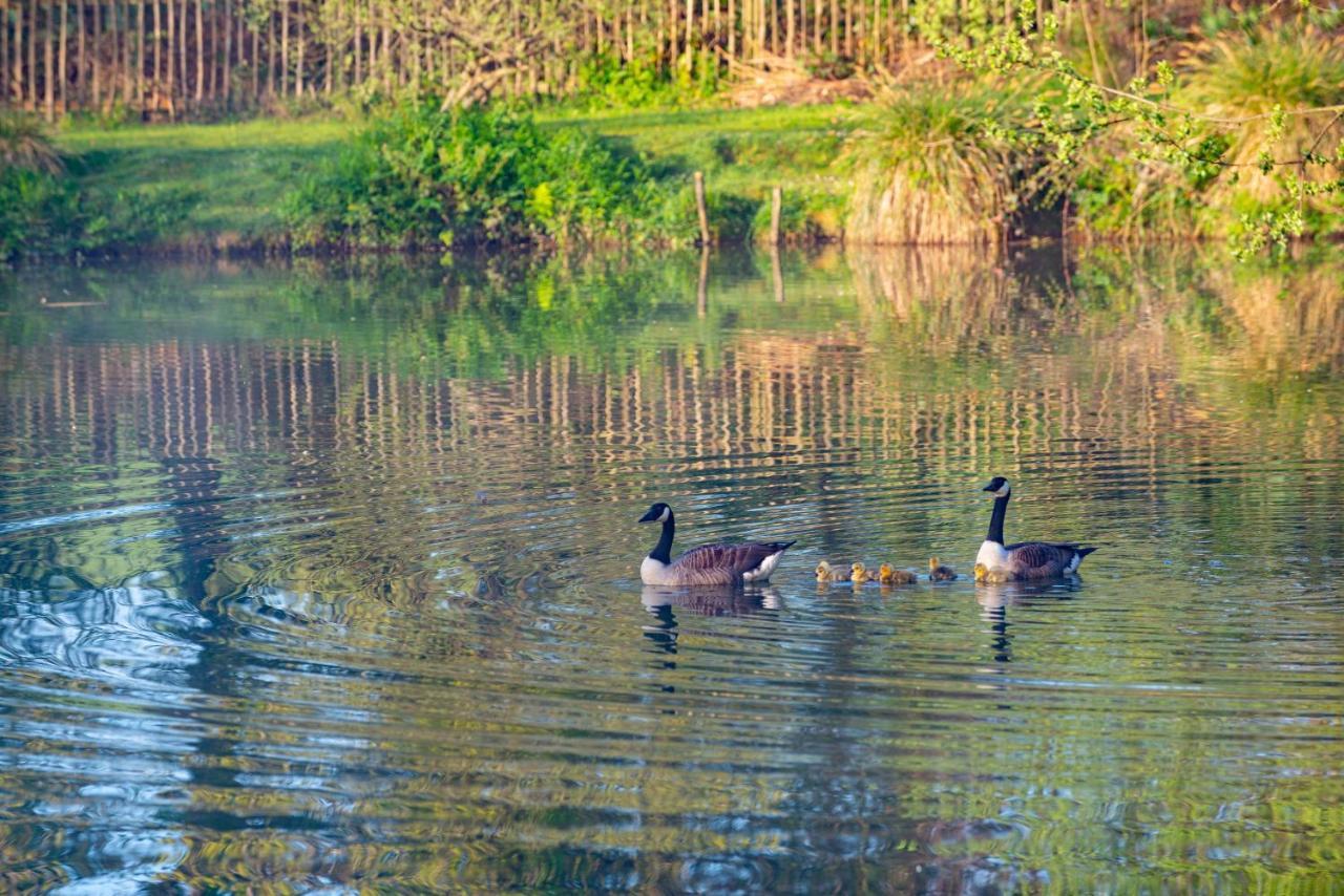 Beautiful Willow Lodge 67-4-6 Persons-Private Hot Tub-Pet Friendly-Tranquil Holiday Away From It All Yet Not Far To St Austell-The Holiday Home Has Two Bedrooms, Living & Dining Area, Equipped Kitchen -Decking-Al Fresco Dining-Fishing Lakes-Pet Frien Grampound Zewnętrze zdjęcie