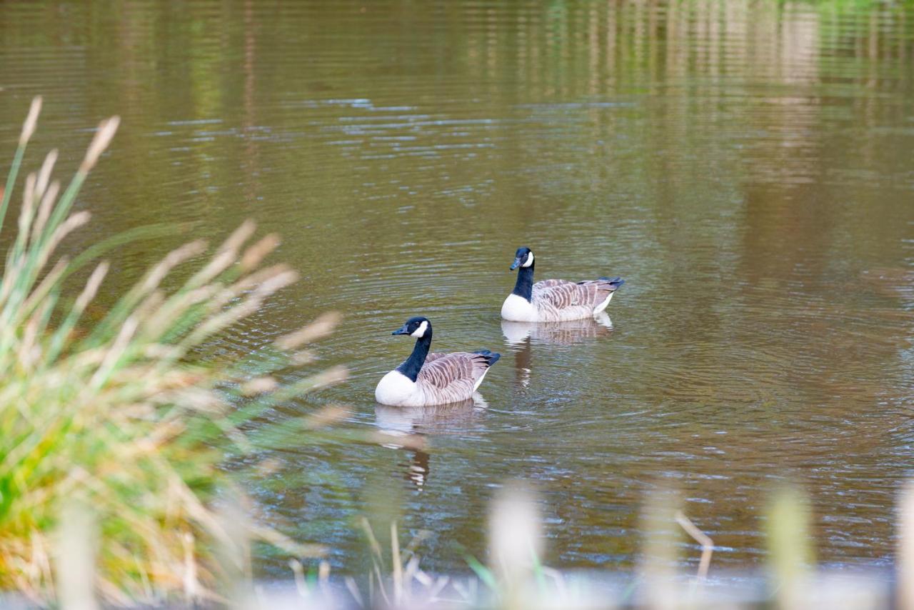 Beautiful Willow Lodge 67-4-6 Persons-Private Hot Tub-Pet Friendly-Tranquil Holiday Away From It All Yet Not Far To St Austell-The Holiday Home Has Two Bedrooms, Living & Dining Area, Equipped Kitchen -Decking-Al Fresco Dining-Fishing Lakes-Pet Frien Grampound Zewnętrze zdjęcie